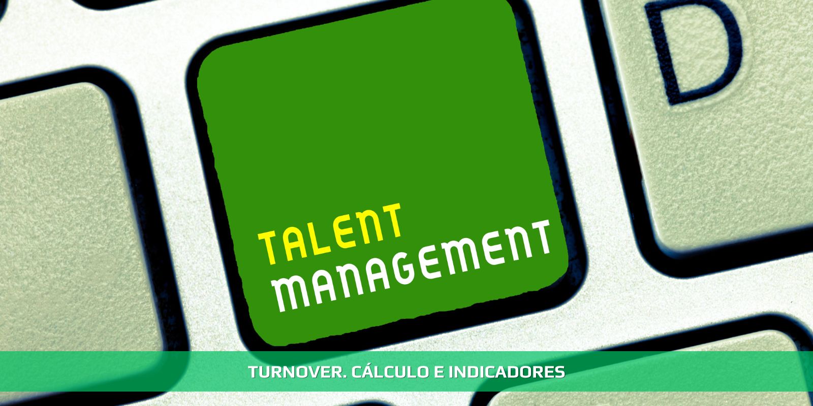 Figura 4 - TURNOVER E A QUALIDADE DO AMBIENTE EMPRESARIAL